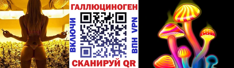 Купить где  Инта  Галлюциногенные грибы мицелий 